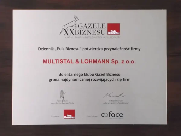 Gazele Biznesu 2019